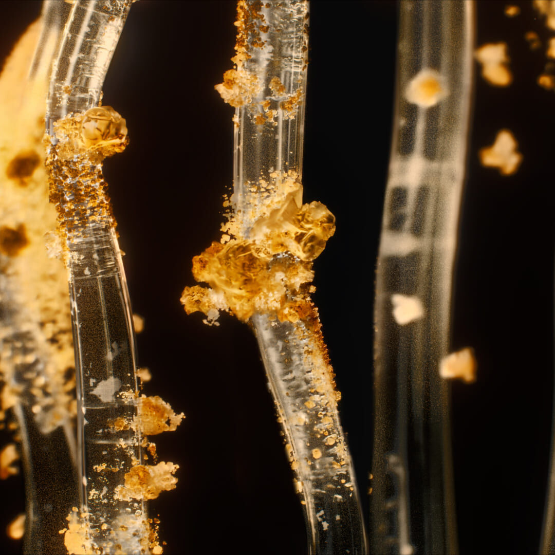 Vista microscopica de las fibras de colageno descaramelizadas para la elasticidad de la piel y la recuperacion de la juventud.