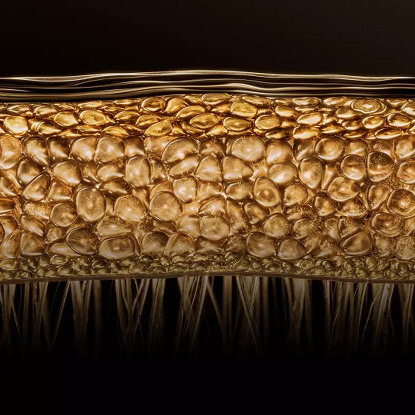 Tecnologia de penetracion profunda de Pro-Xylane™ que crea una barrera protectora tipo vendaje. 